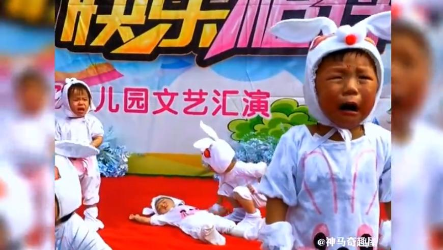全国人大代表张强建议试点父育假,澳门资料六开彩澳门开奖结果查询今晚,确保成语解释落实的问题_铂金版V11.17